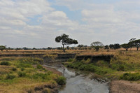 Africa Landscape River View Horizontal