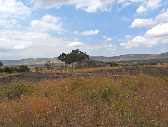Africa  Landscape