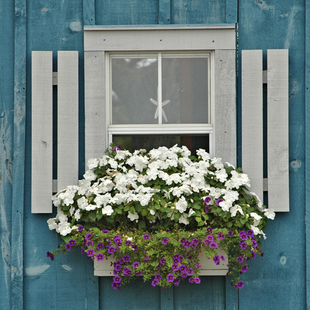 Cape Cod Blue Window Square