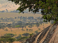 Africa Landscape 2 254
