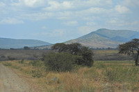 Africa Landscape