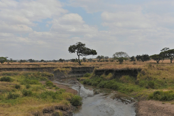 Africa Landscape River View Horizontal
