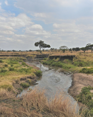 Africa Landscape River View (2)