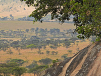 Africa  2 253 Landscape