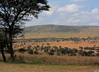 Africa 2-288Landscape