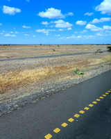 Africa Landscape from highway