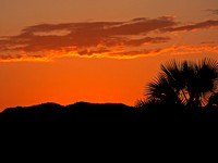 Africa Maramboi at Sunset 4