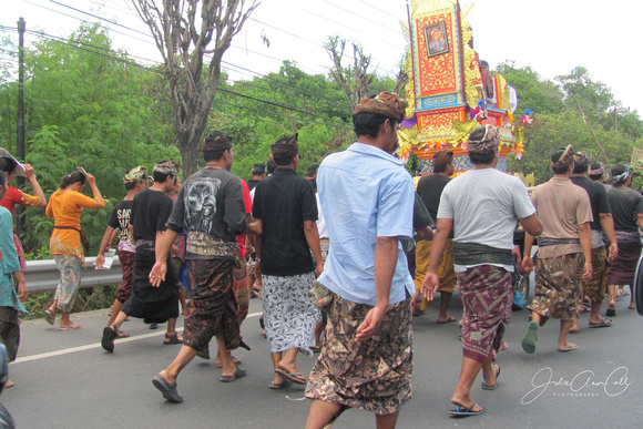 Bali Cremation Ceremony 2 8X12-12X24