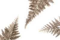 Ferns Copper4 Sepia 8X12,