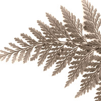 Ferns CopperSquare Sepia10X10,12X12