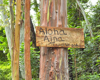 Aloha Aina - 8X12, 16X24