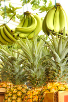 Banana and Pineapples8X12, 16X24