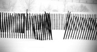 Black and White Fence in Snow