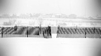 Black and White Fence 2