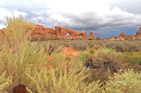 Moab Arches Sage Brush ForeGround WM