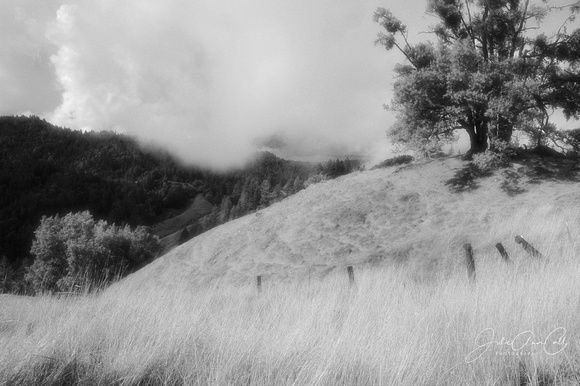 CA Coastline Infared Film  8X12, 16X24